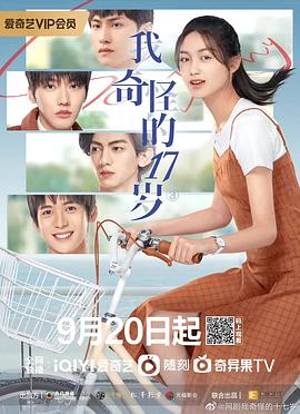 我奇怪的17岁³ 