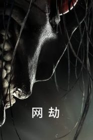 网劫 